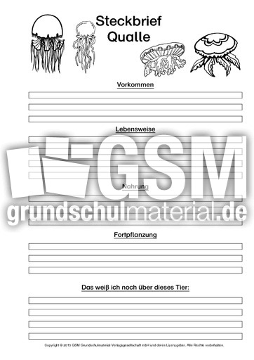 Qualle-Steckbriefvorlage-sw.pdf
